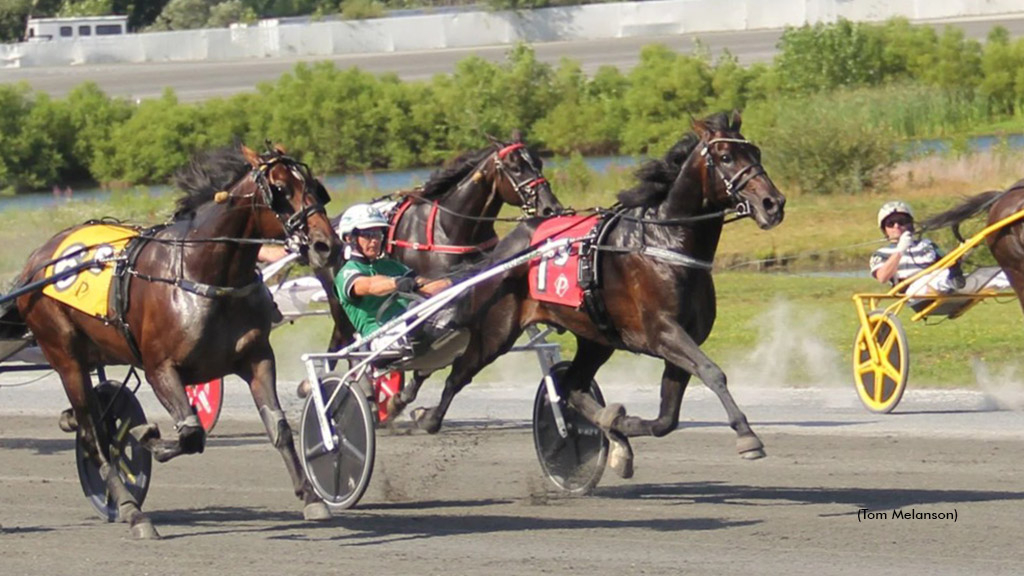 Up You Deo winning the 2025 Spirit Of Massachusetts Trot
