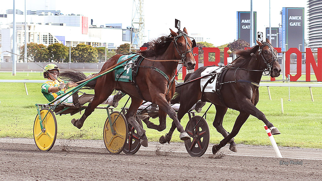 Apex winning at The Meadowlands