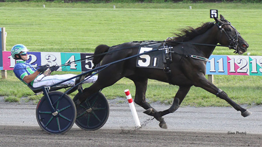 Carve winning at The Meadowlands