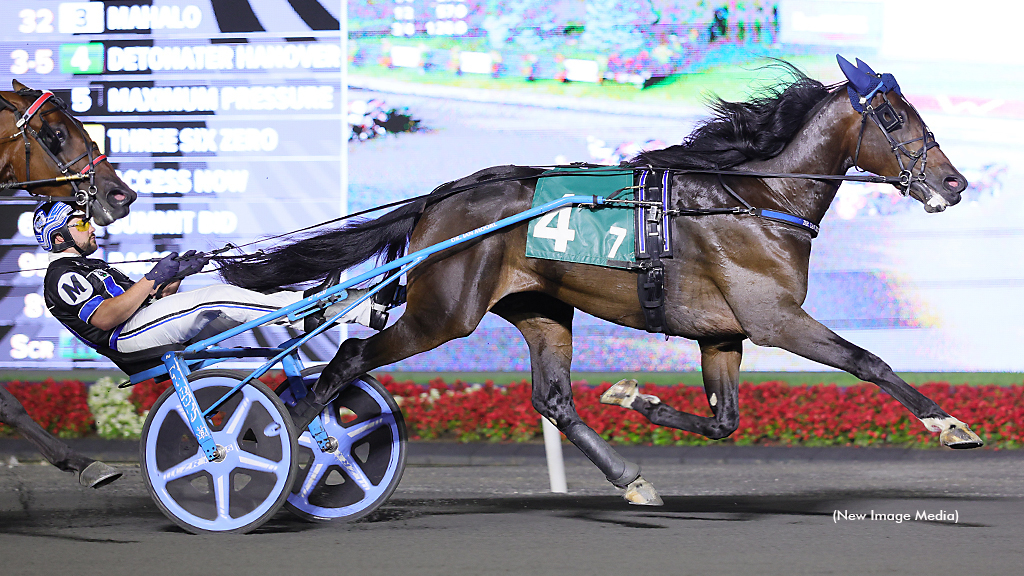 Detonater Hanover winning at Woodbine Mohawk Park
