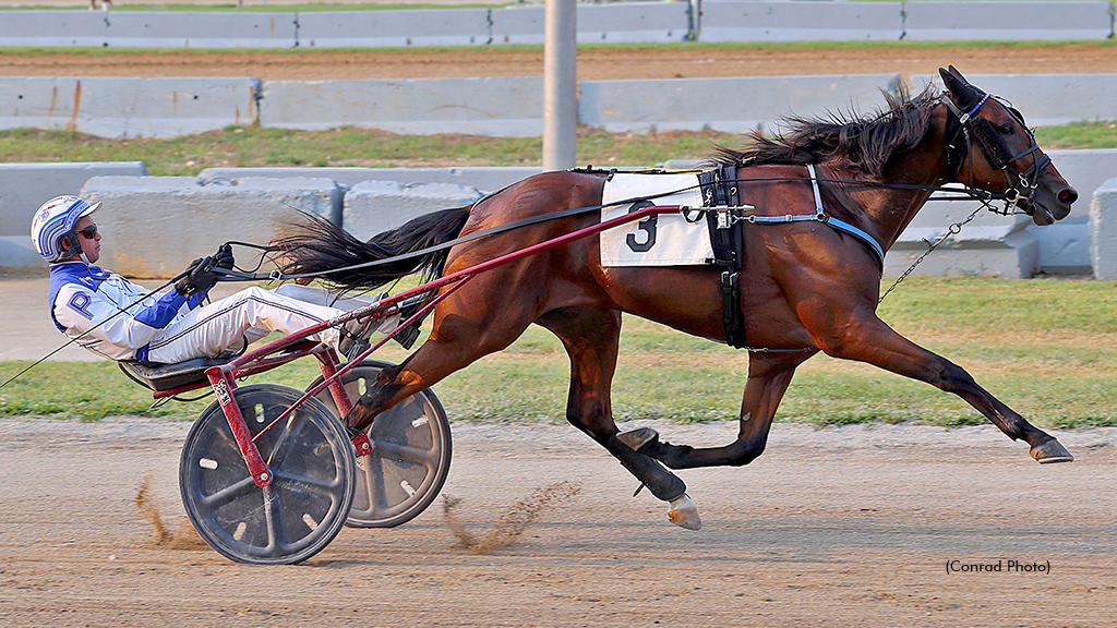 Easter BB winning at Champagne County Fair