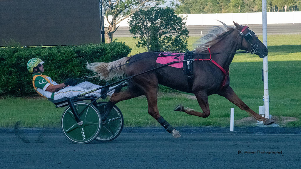 Nobody Knows It winning at Ocean Downs