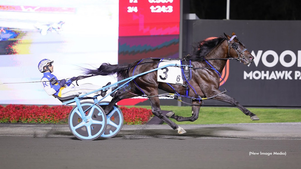 Shalom Hanover
