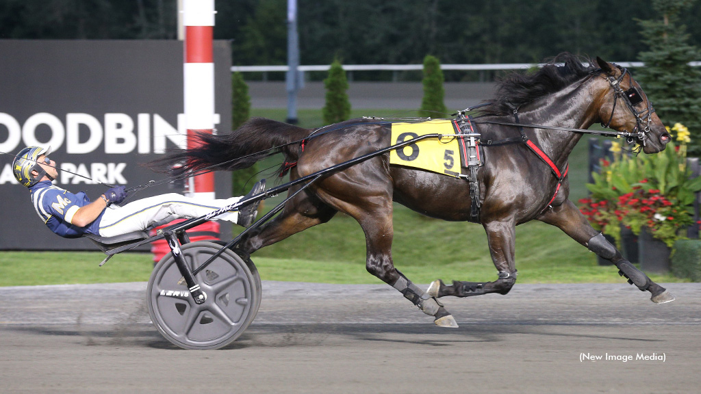 Shimmering Hanover