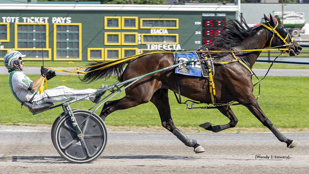 Shine All The Way winning at Batavia Downs