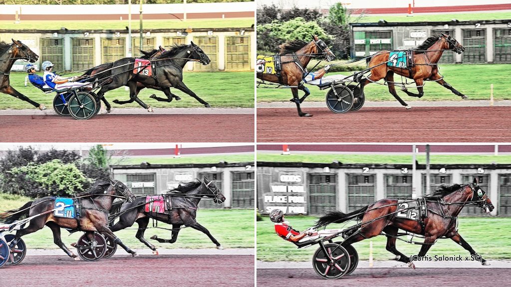 A collage of the Sun Stakes Saturday winners