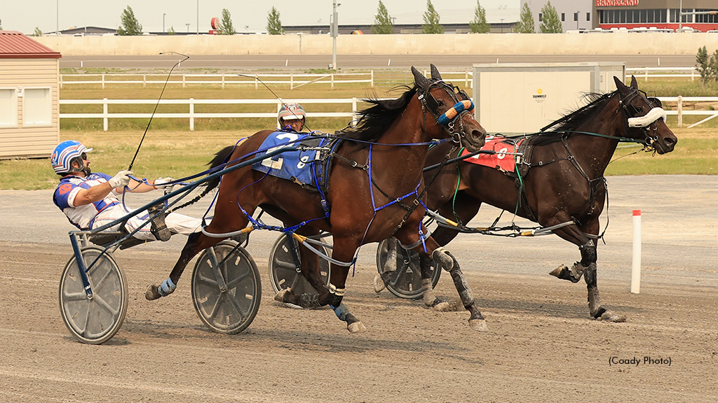 Terrible Custard winning at Century Downs