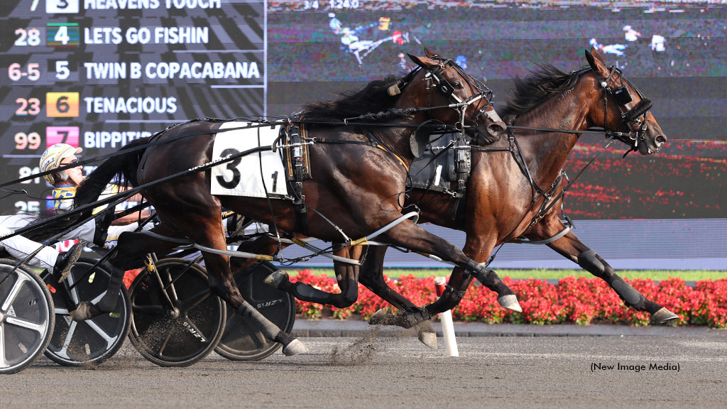 Twin B Copacabana winning at Woodbine Mohawk Park