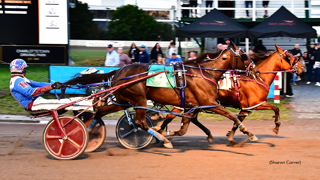Windemere Skye winning at Charlottetown Driving Park