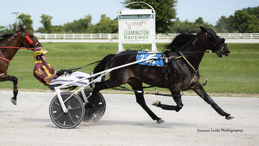 YS Delight winning at Leamington Raceway