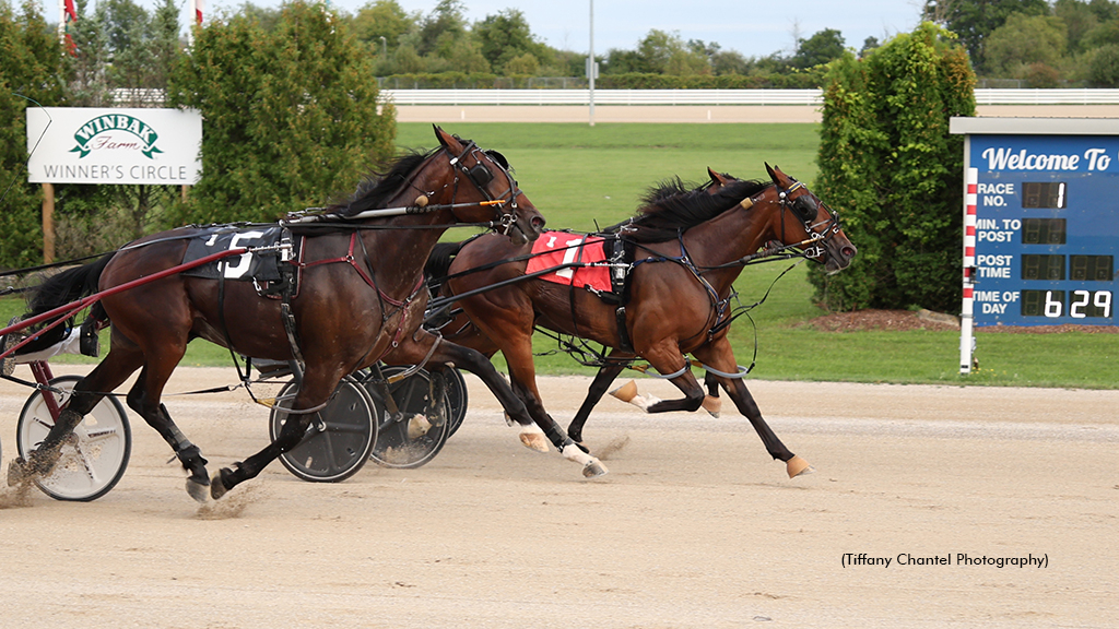 Arm N Hammer winning at Grand River Raceway