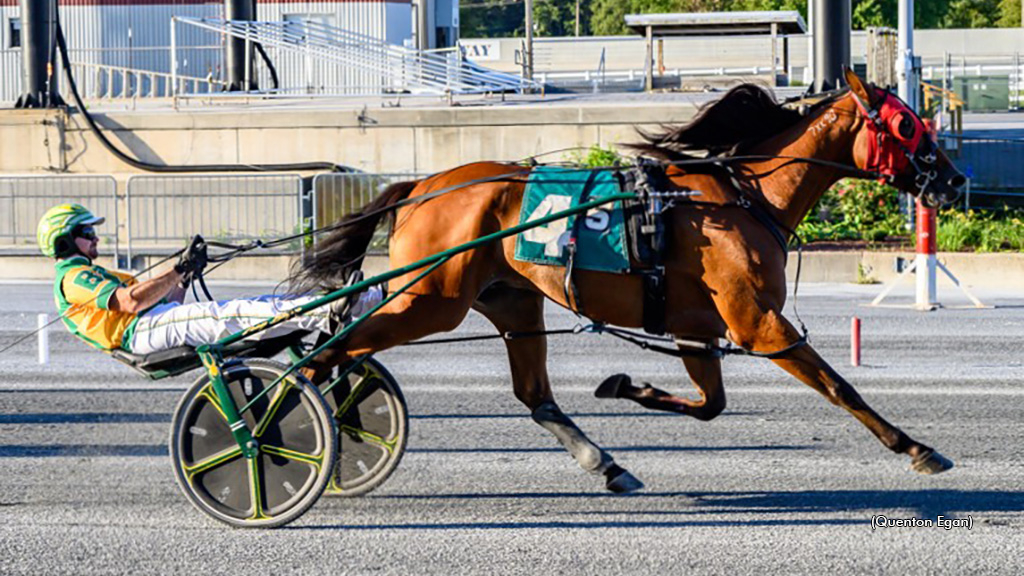 Arrowhead Hanover