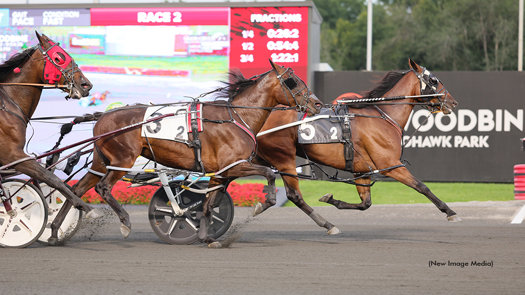Daya winning at Woodbine Mohawk Park
