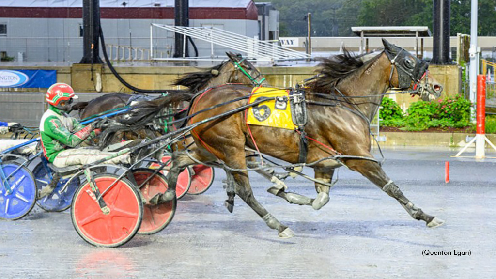 Disturbed Hanover