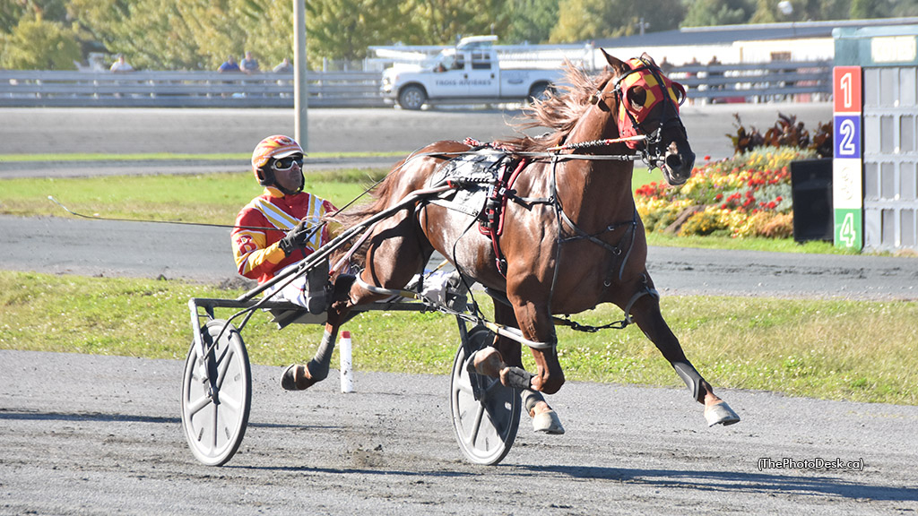 Golddiamond winning at Hippodrome 3R