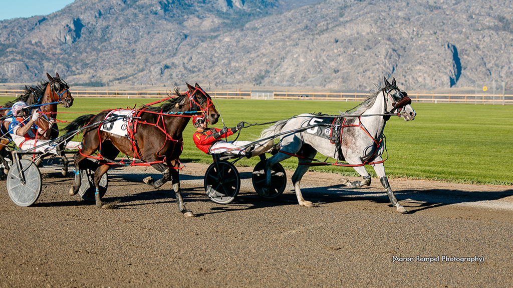 Grey Sea winning at Desert Park Raceway