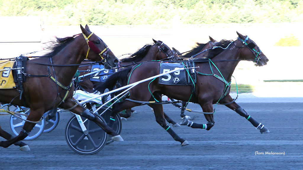 LucaBay-091426-TomMelanson-1024px