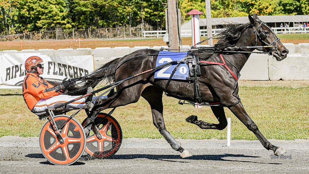 Pembroke Zargursky winning at Farmington Fair