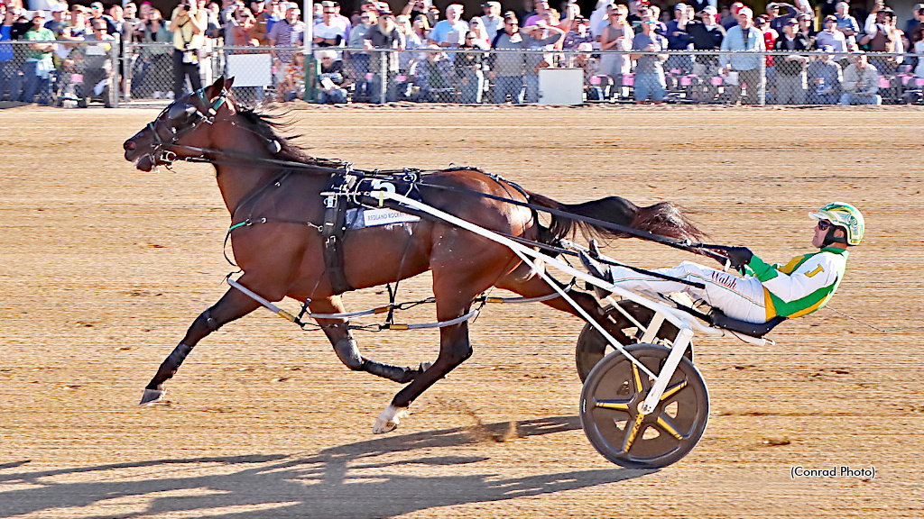Redland Rocket Man winning his heat of the Little Brown Jug