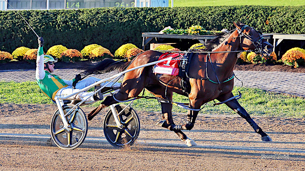 2026 Little Brown Jug winner Redland Rocket Man