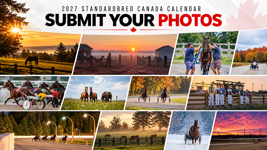 Submit Your Photos For the 2027 SC Calendar