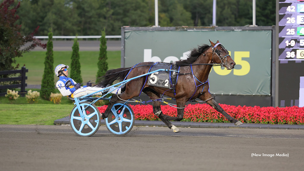 Shalom Hanover