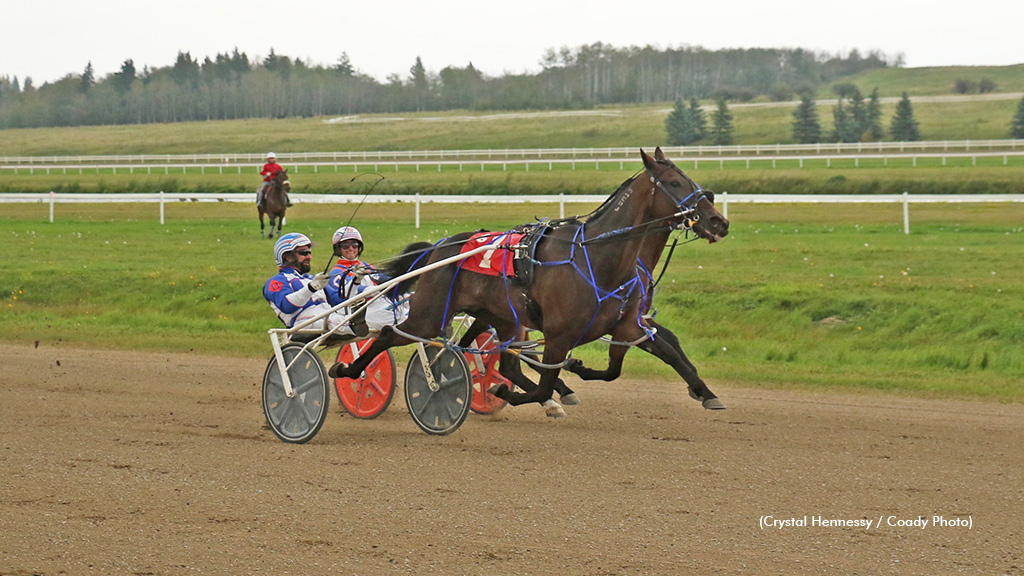 Shark Week