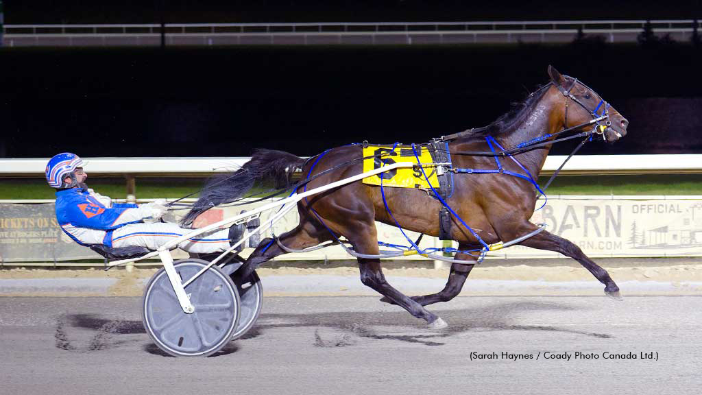 Shark Week winning at Century Mile