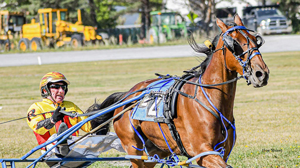 Top Notch Treasure winning at Bangor Raceway