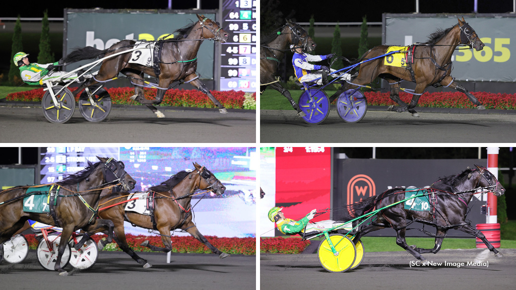 Redland Rocket Man, Francent N, Best Chip and Strobe Lite