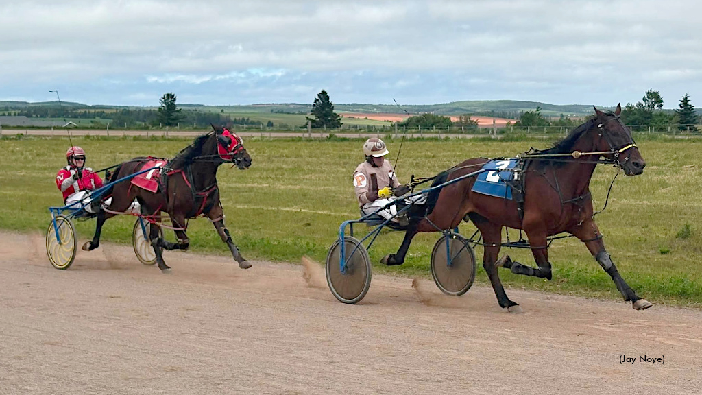 Matinee racing in Prince Edward Island