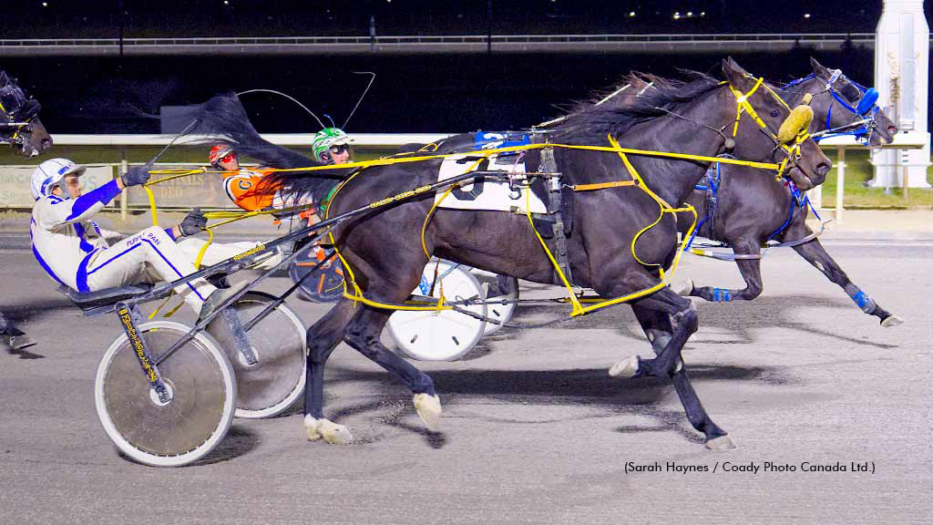 Outlawguns N Roses winning at Century Mile