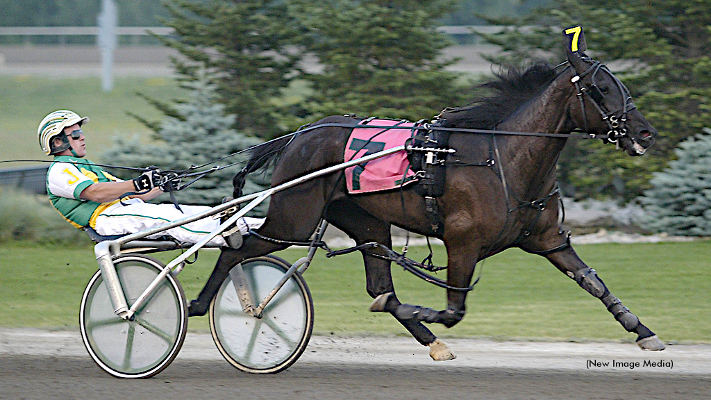 Plumbing Princess