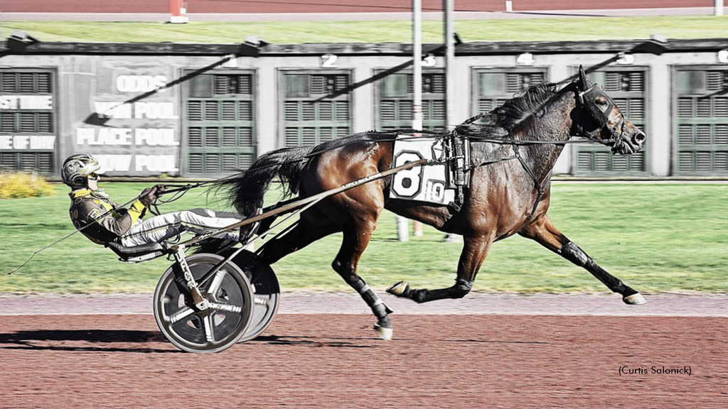 Pony Chrome