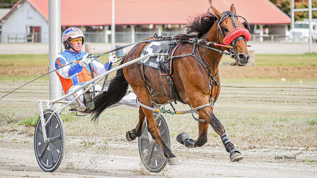 Poocham Luck winning at Cumberland Fair