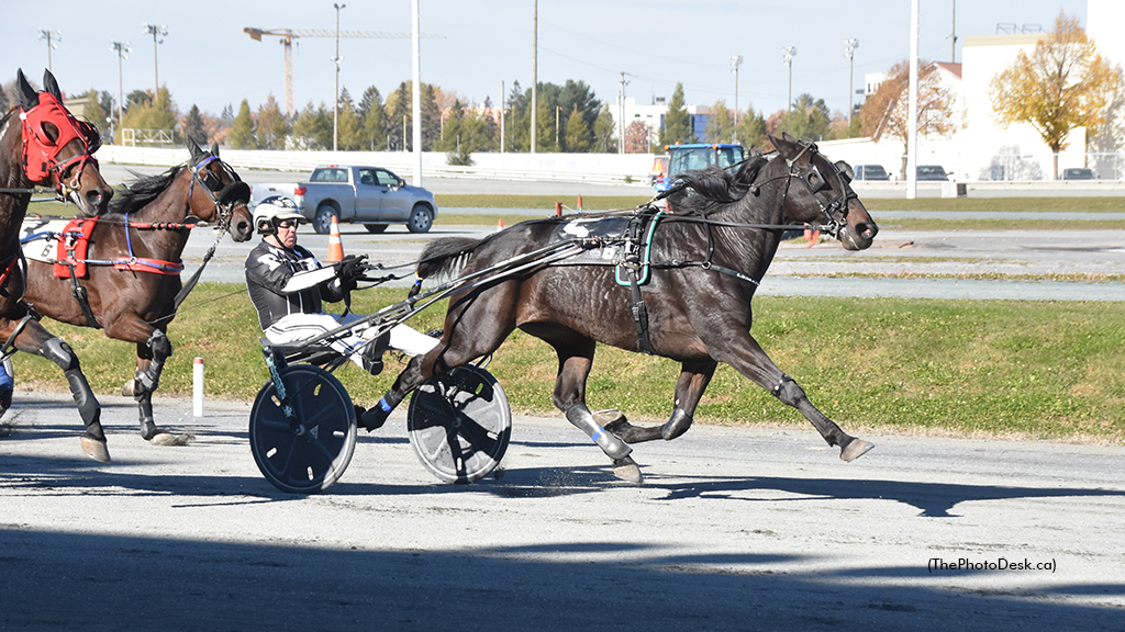 Prince Of Sussex winning at Hippodrome 3R
