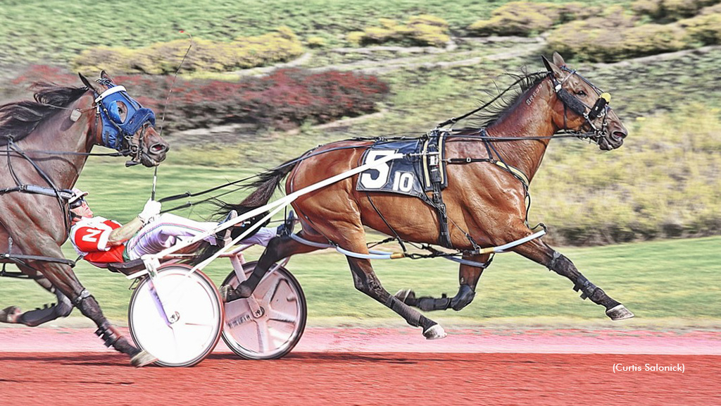 Ruthless Hanover