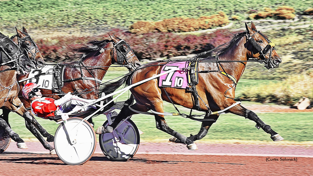 Ruthless Hanover