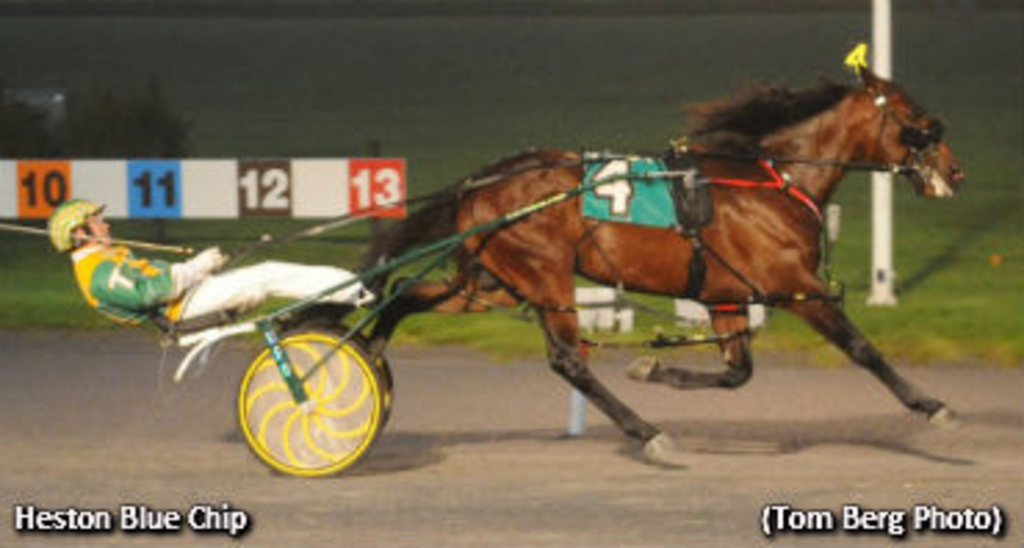 5-21-12 Heston Blue Chip-Tom Berg pixgood.jpg