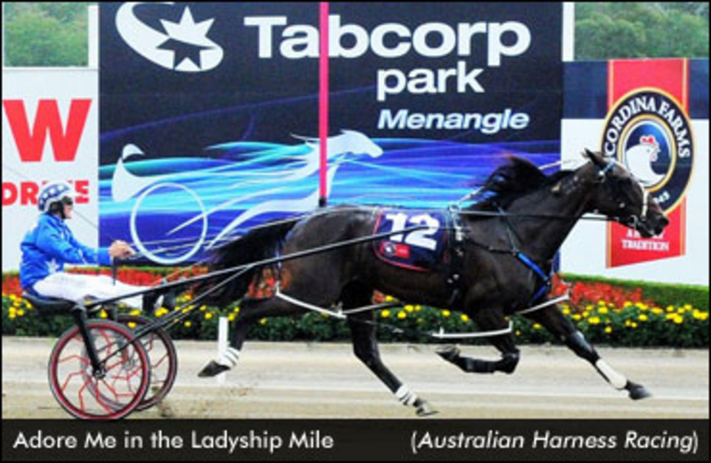 Adore-Me-Menangle-edit.jpg