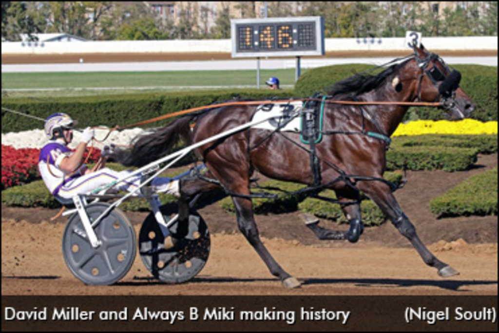 Always B Miki "Before His Time" | Standardbred Canada