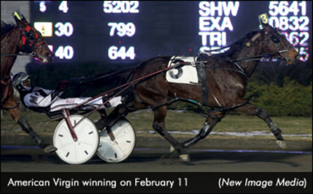 Domethatagain Standardbred Canada