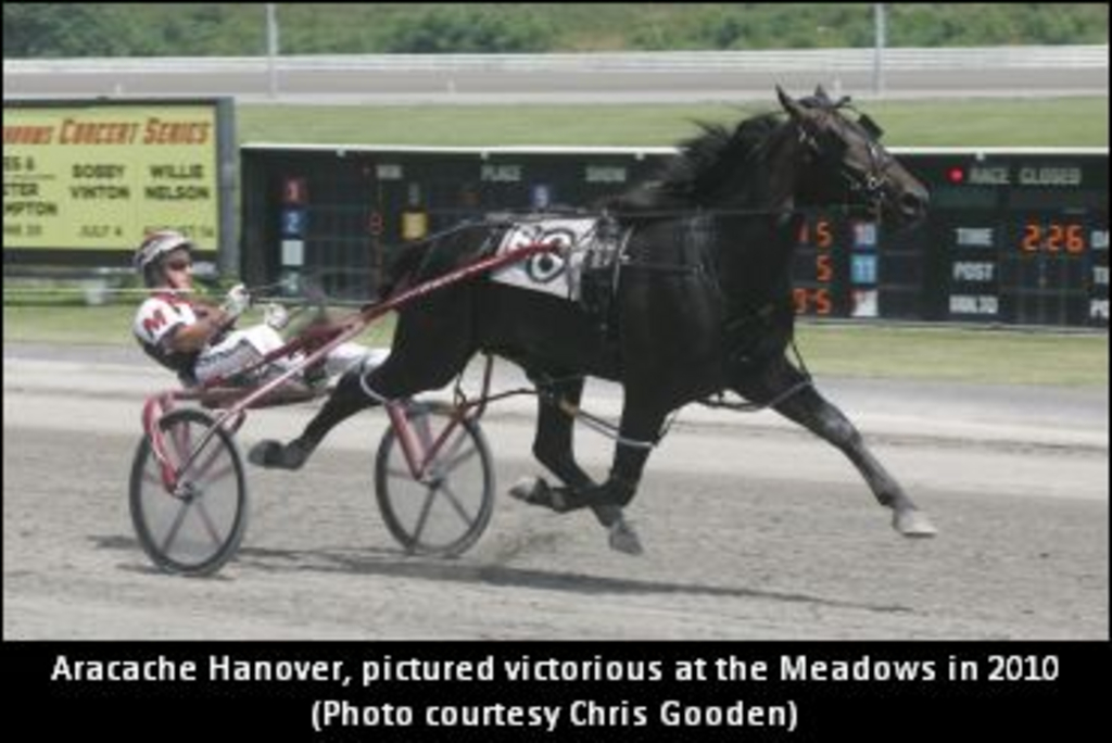 AracacheHanover-02.jpg