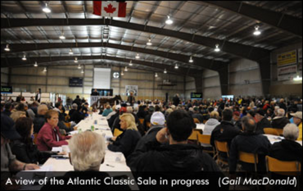 AtlanticSale-GailMacDonald-edit.jpg