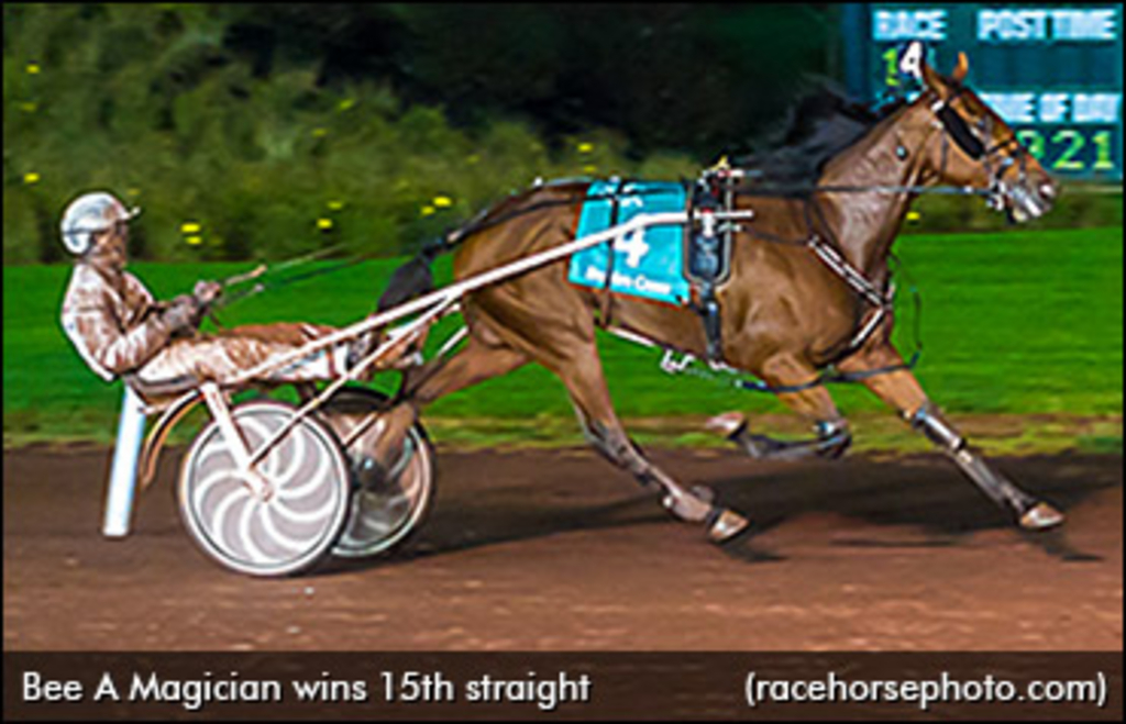 Bee-A-Magician-Breeders-Crown.jpg