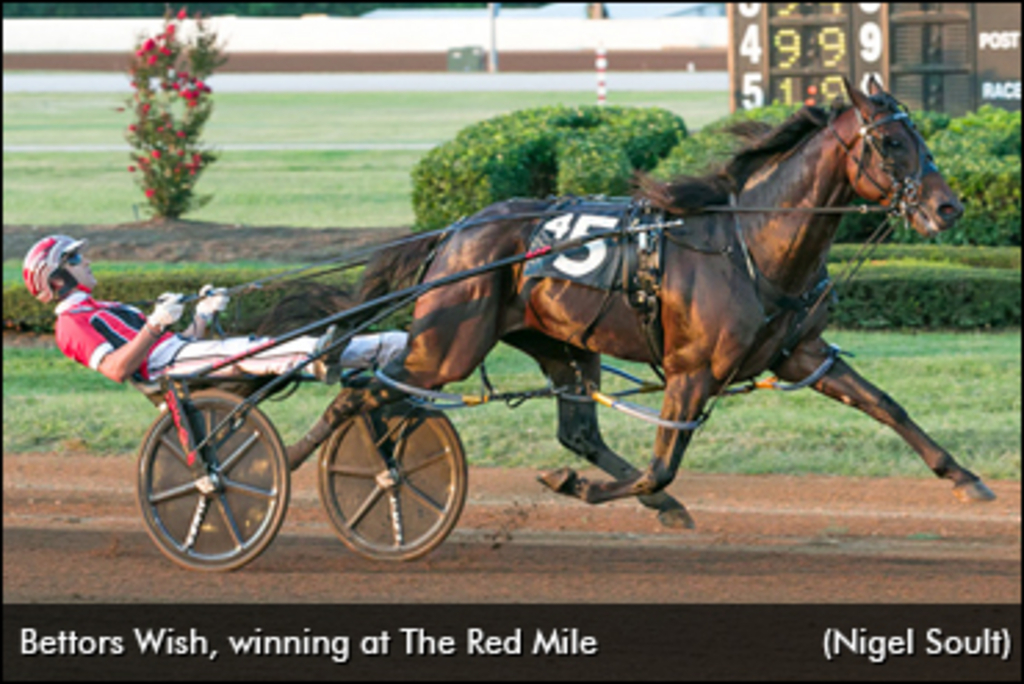 Bettors-Wish-Red-Mile-370px.jpg