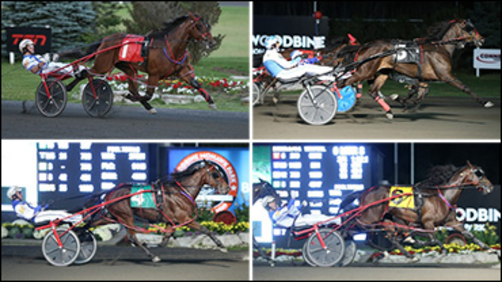 Blake-MacIntosh-Breeders-Crown-370px.jpg