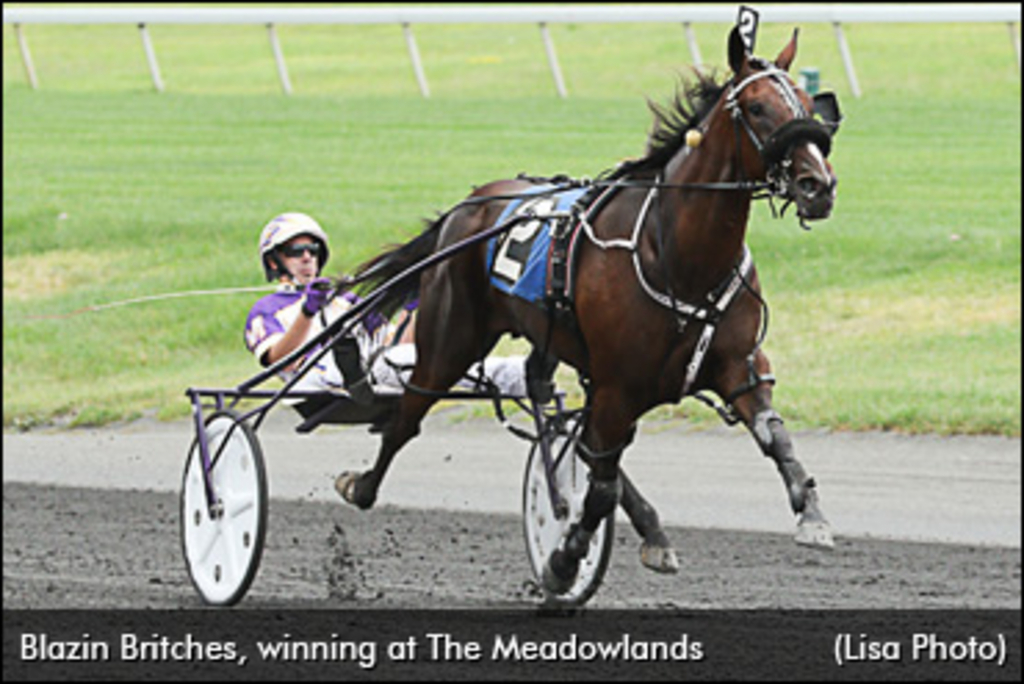 Blazin-Britches-Meadowlands-370px.jpg