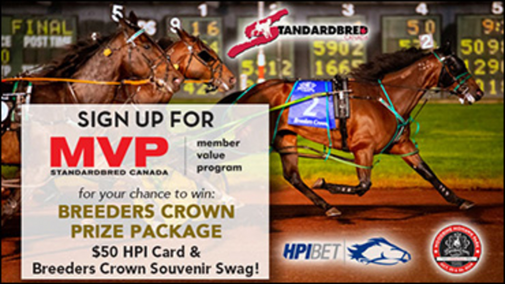 Breeders-Crown-MVP-370px.jpg