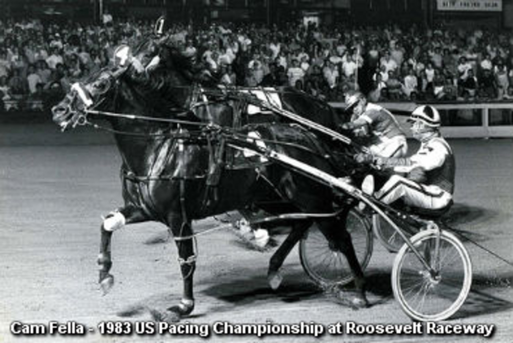 Cam Fella 1983 US Pacing Championship.jpg